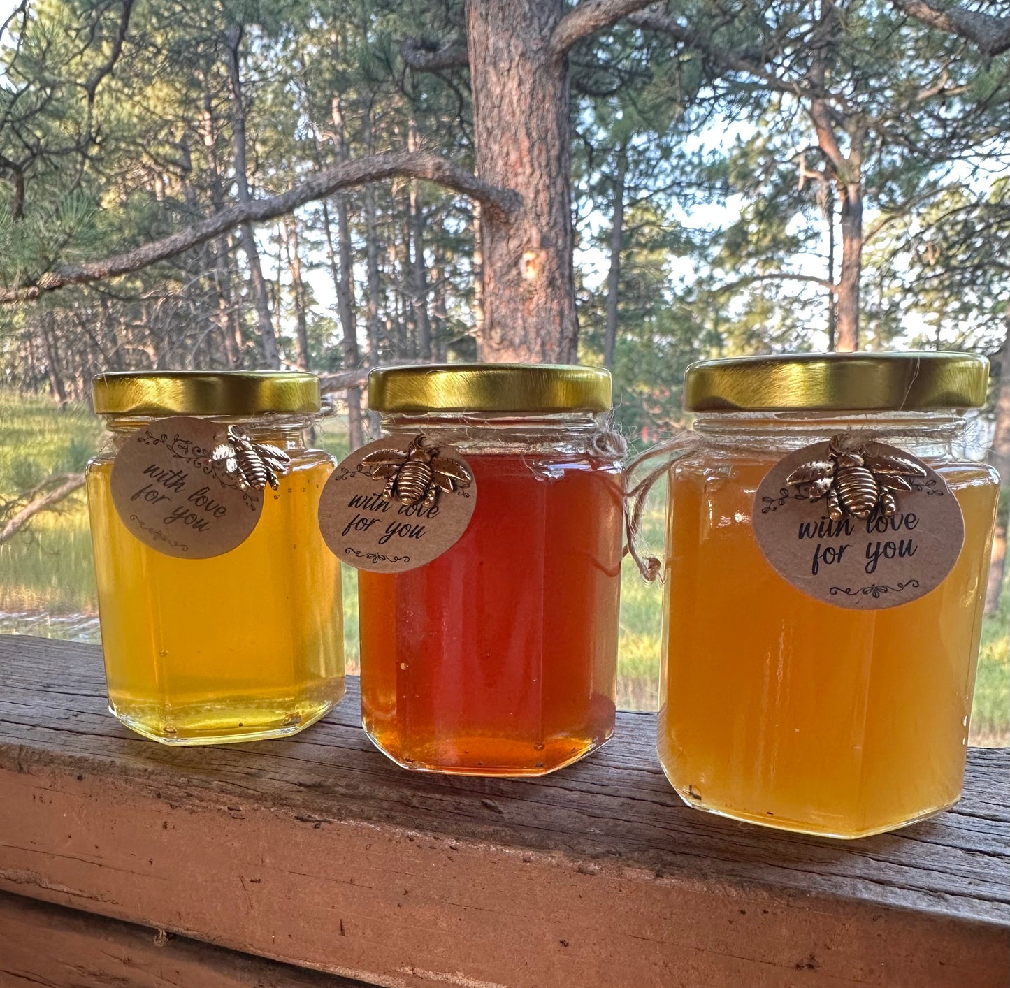 Colorado Honey Flight: Prairie to Peak